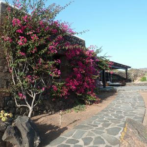 Casa Batosti Pantelleria (32)